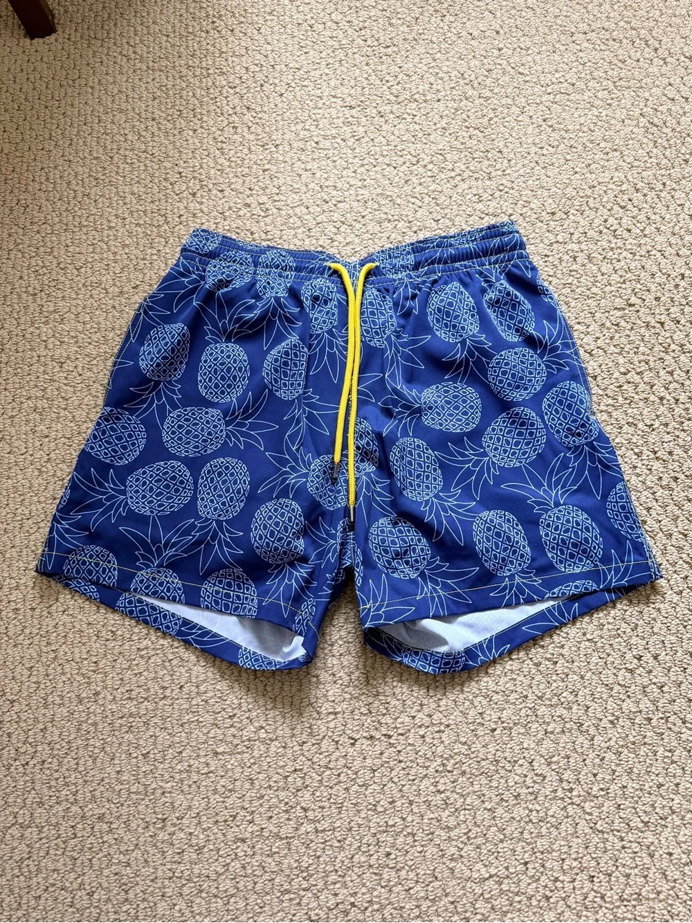 Capelle Men's Pineapple Print Swim Trunks in Navy with Yellow Drawstring